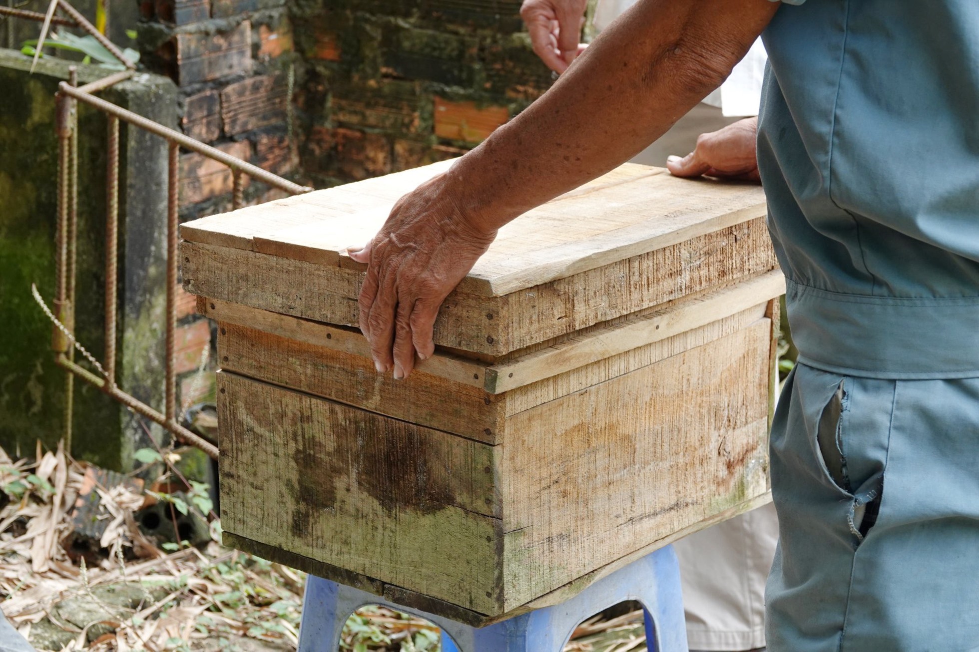  Chuẩn bị thùng nuôi ong